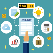Information You Need to Supply for Professional Help with Your Tax Return